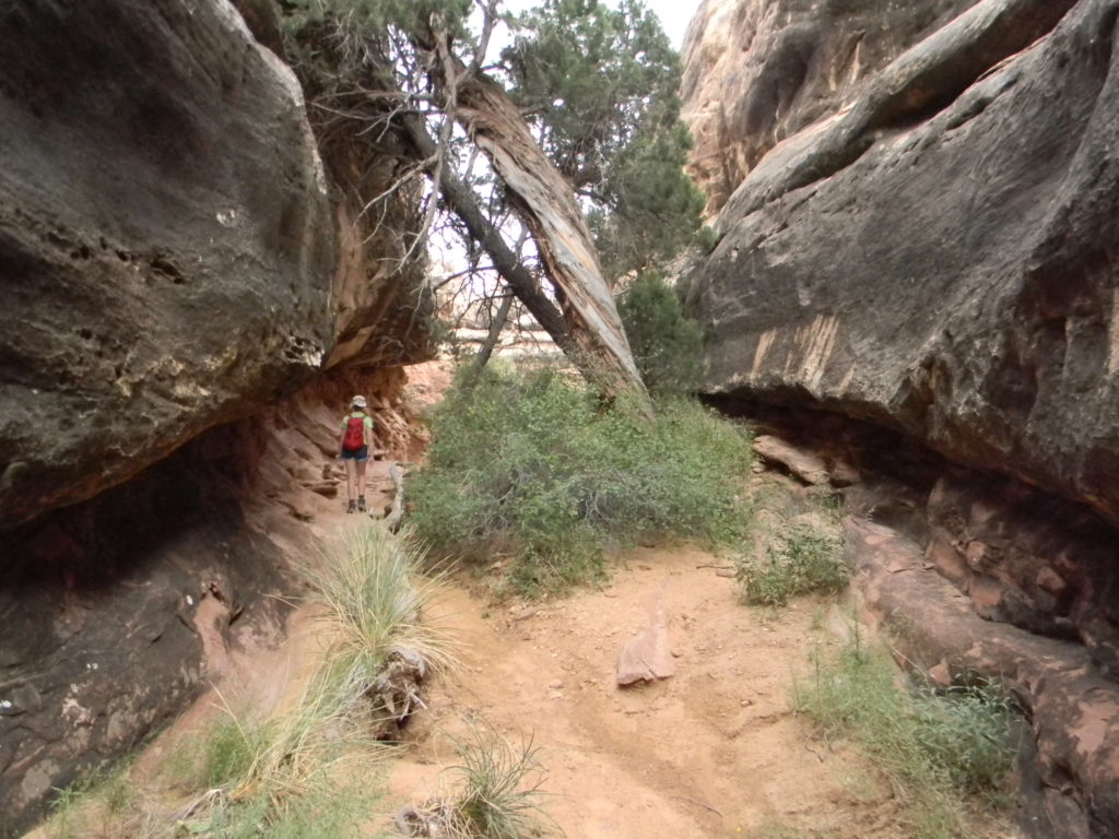 Hiking in Canyonlands National Park, utah.