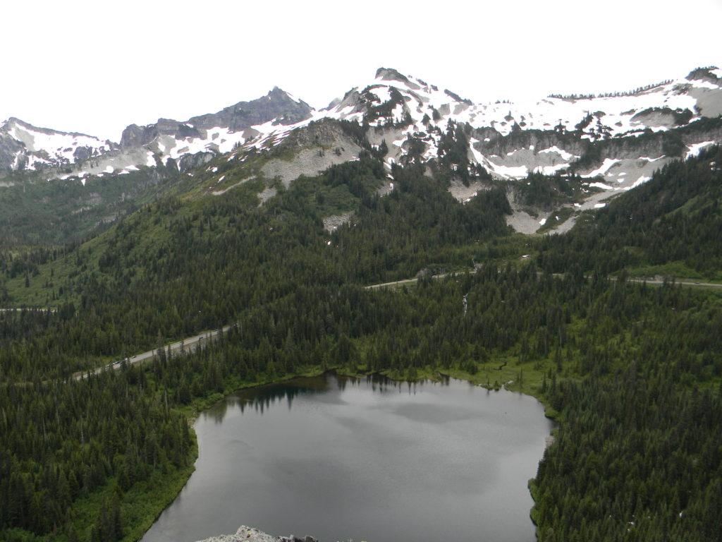 Mt. Ranier National Park